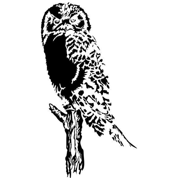 Owl (Stylized)