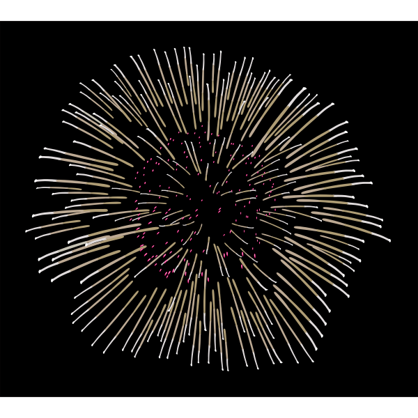 Fireworks vector image