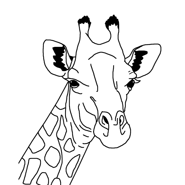 Giraffe Line Art