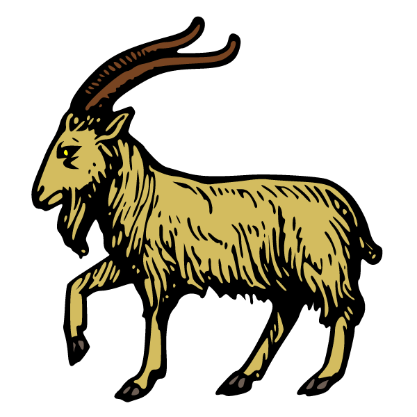 Goat 1