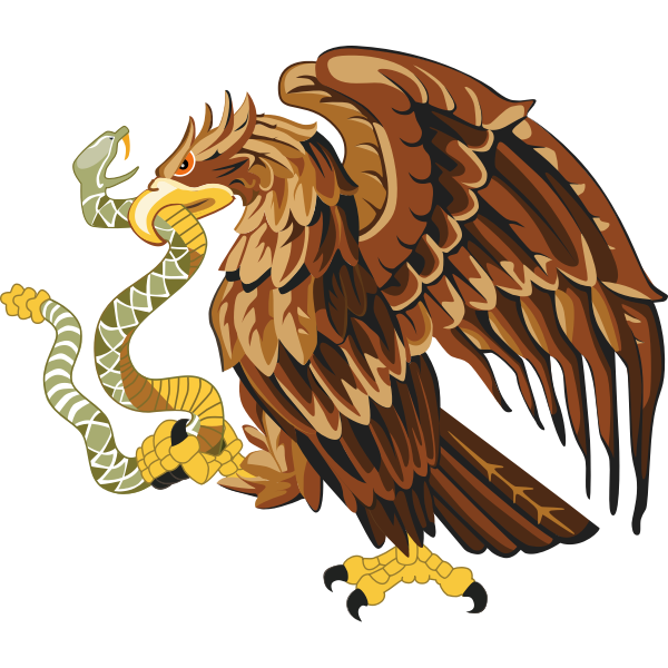 Golden eagle with snake