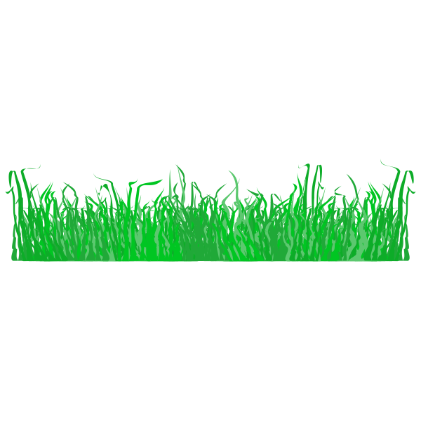 Grass 003