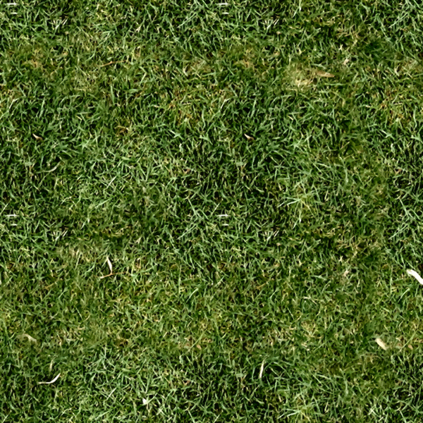 Grass6