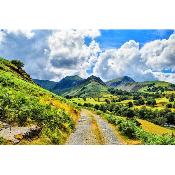 Green Rolling Hills Landscape