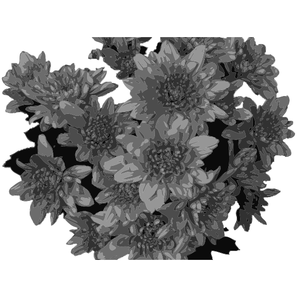 Flowers  in greyscale