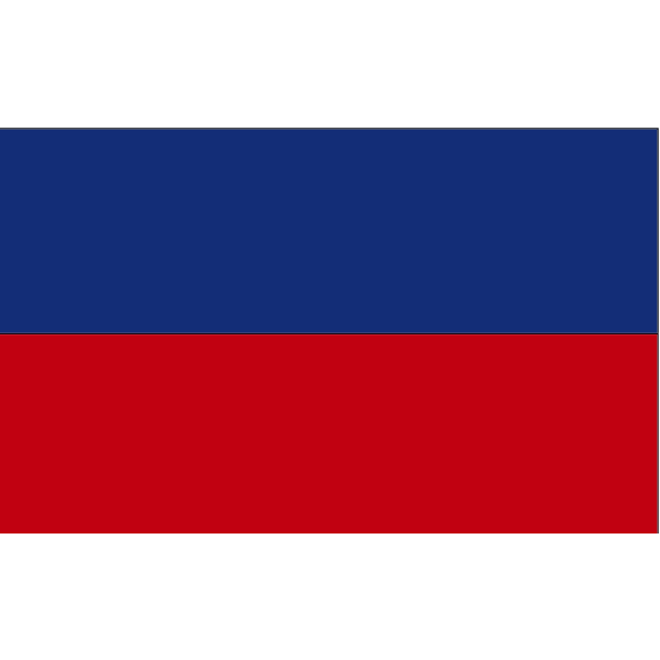 Haiti flag 2016081047