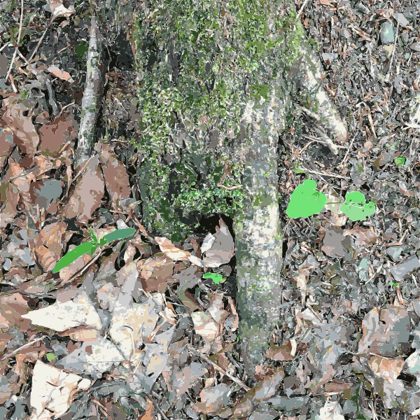 Hand of a Tree 2015071536