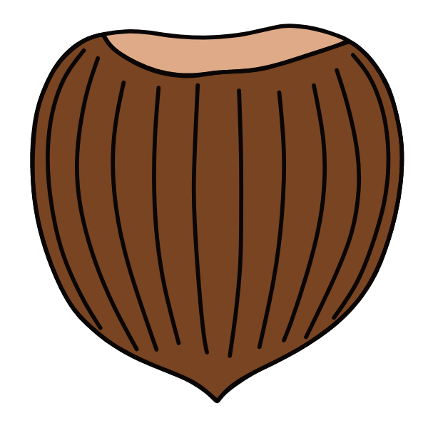 Hazelnut VI