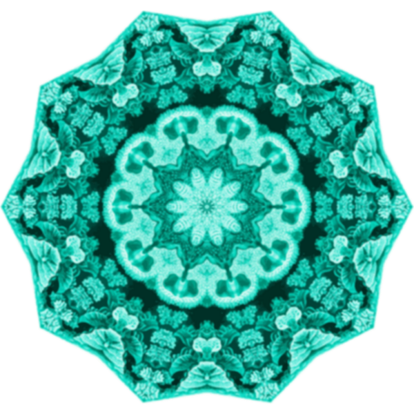 Hexacorolla5