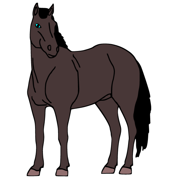 Horse 17