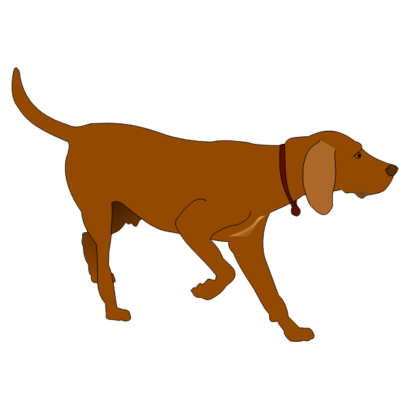 Hunting dog