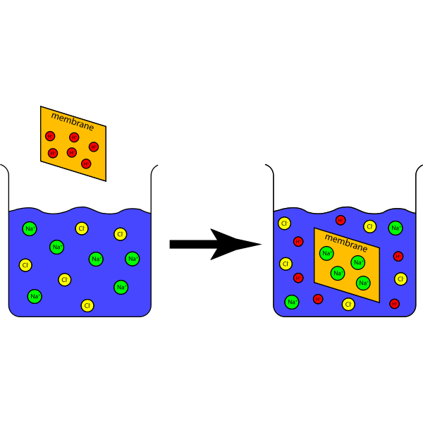 Ion Exchange Capacity Experiment