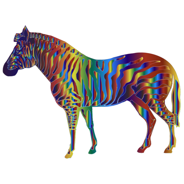 Iridescent Zebra