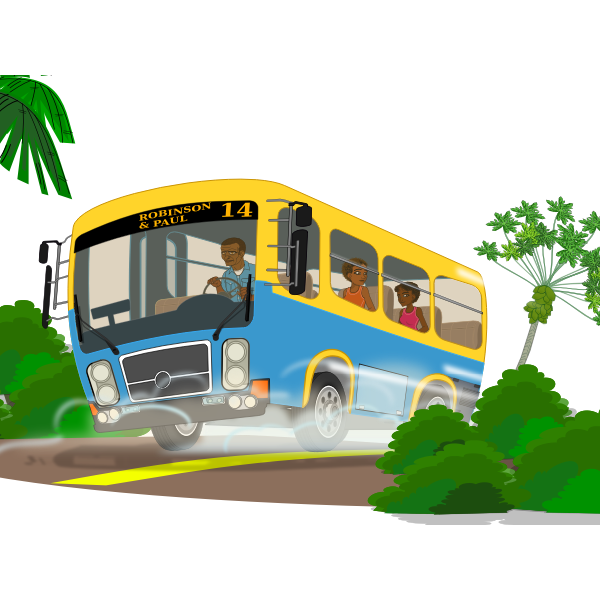 Island school bus