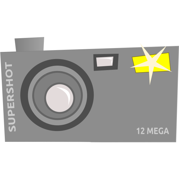 Vector drawing of fancy camera icon