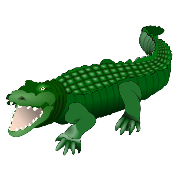 Crocodile