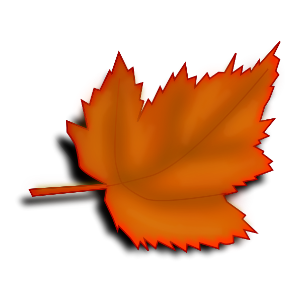 Orange fall leaf vector image