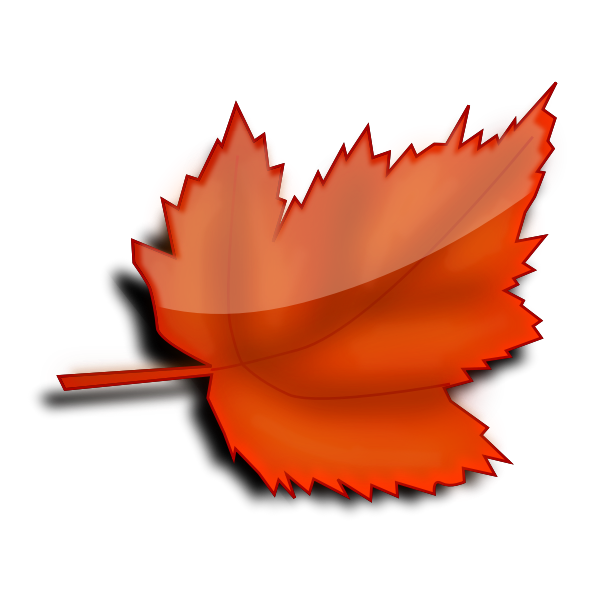 Glossy autumn leaf vector image