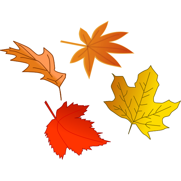 Autumn leaves selection vector image