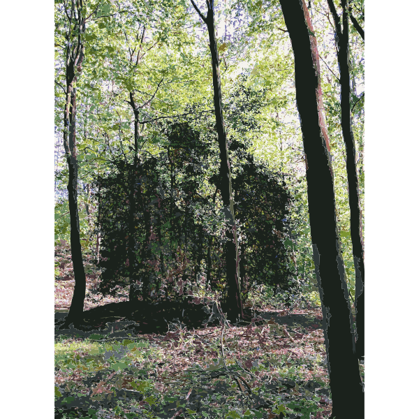 Lichtscheid Forest Again 1 2015071543