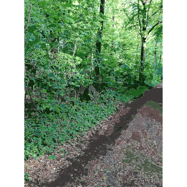 Lichtscheid Forest Again 1 2015071549