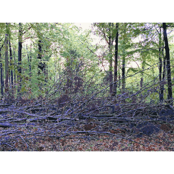 Lichtscheid Forest Again 2015071535