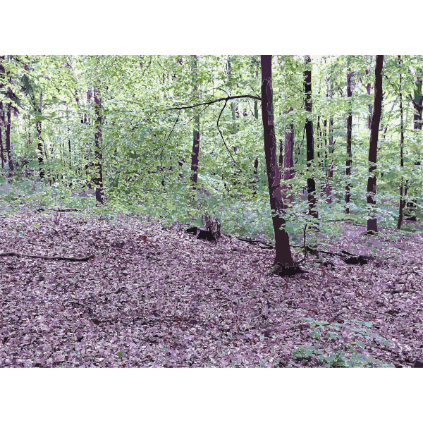 Lichtscheid Forest Again 2015071554