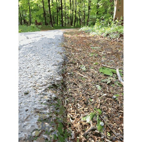 Lichtscheid Forest Again 5 2015071527