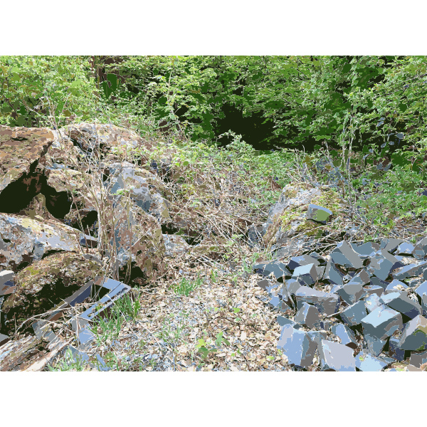 Lichtscheid Forest Again 6 2015071513