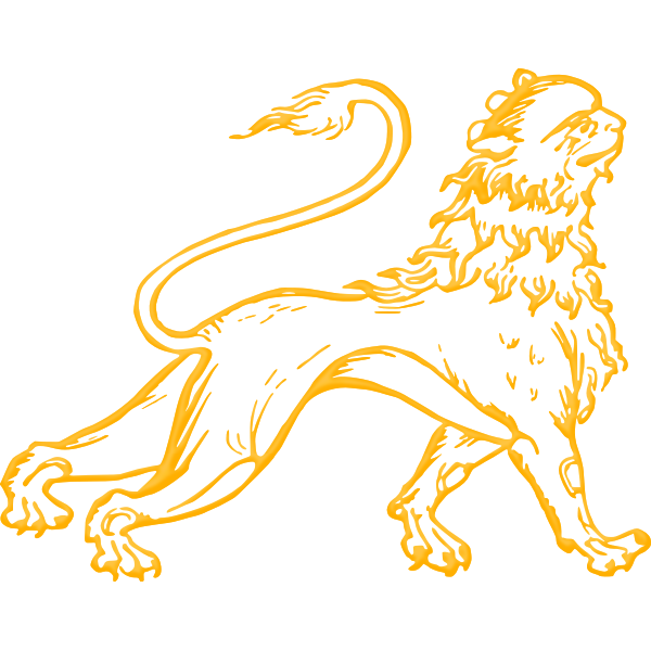 Lion4