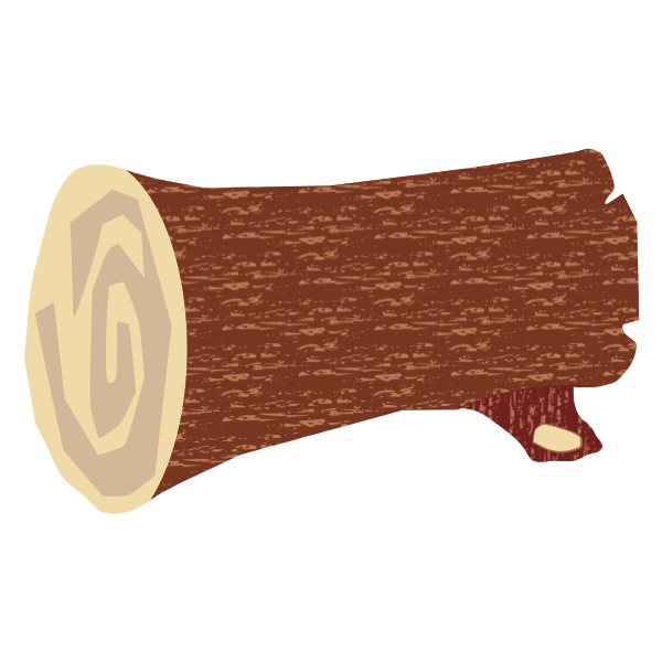 Log