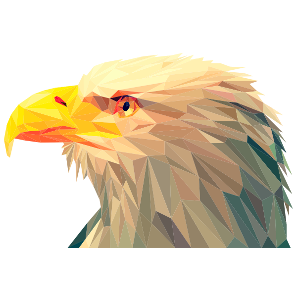Low Poly Bald Eagle