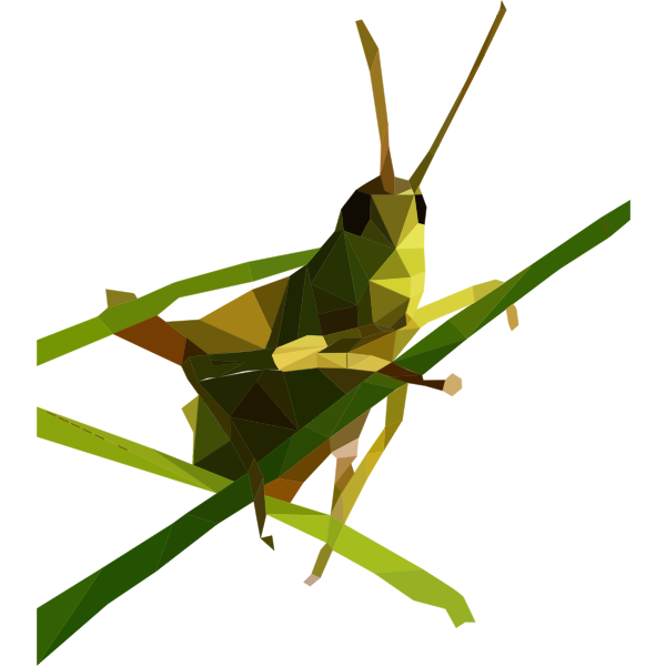 Low Poly Grasshopper