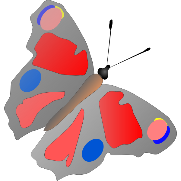Colorful butterfly-1632069506