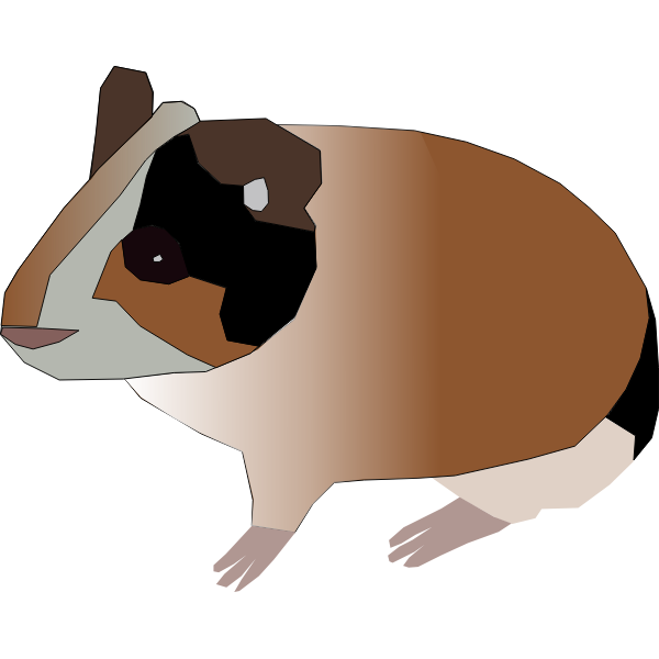 guinea pig