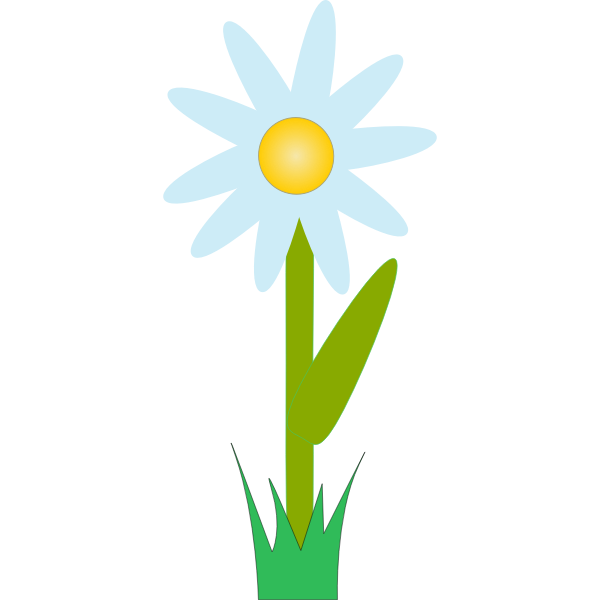 marguerite