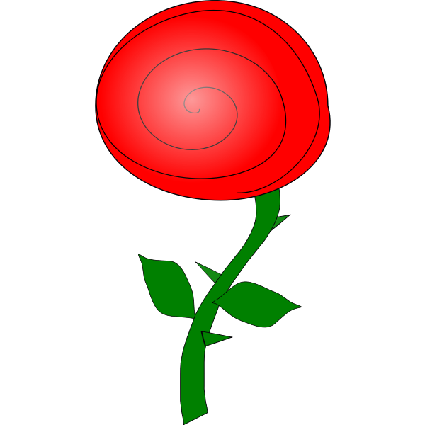 rose