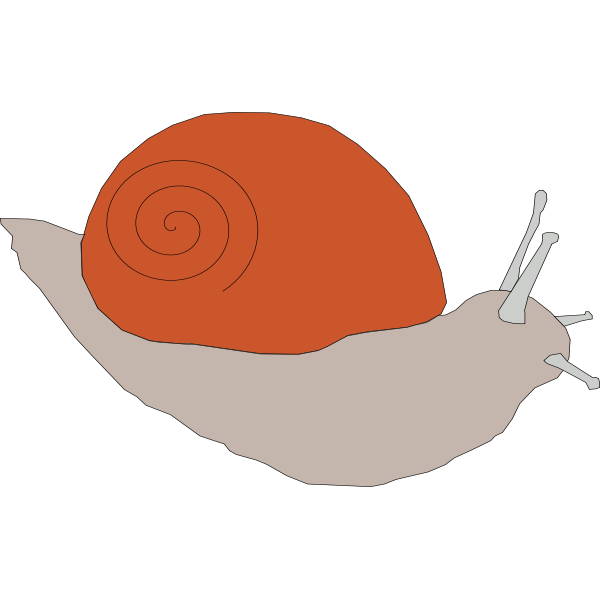 snail1