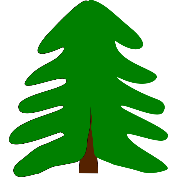 spruce