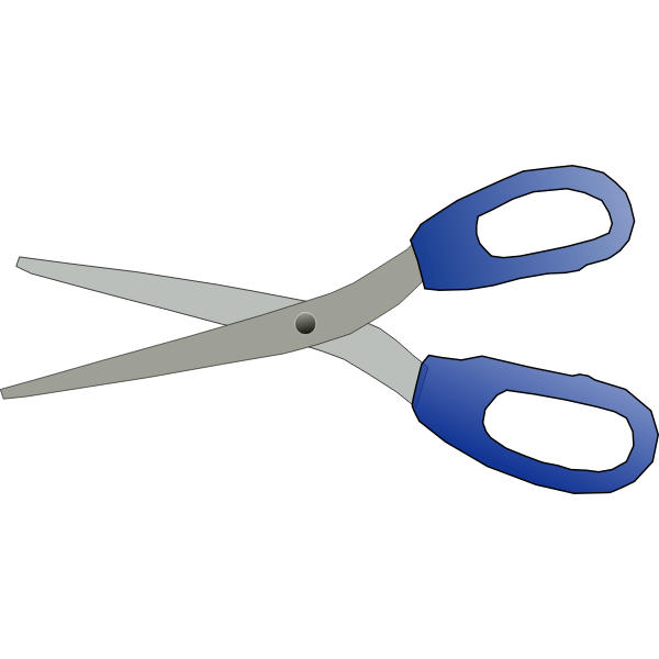 Scissors vector image