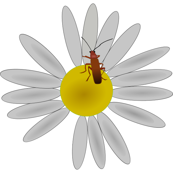 Bug on a flower vector