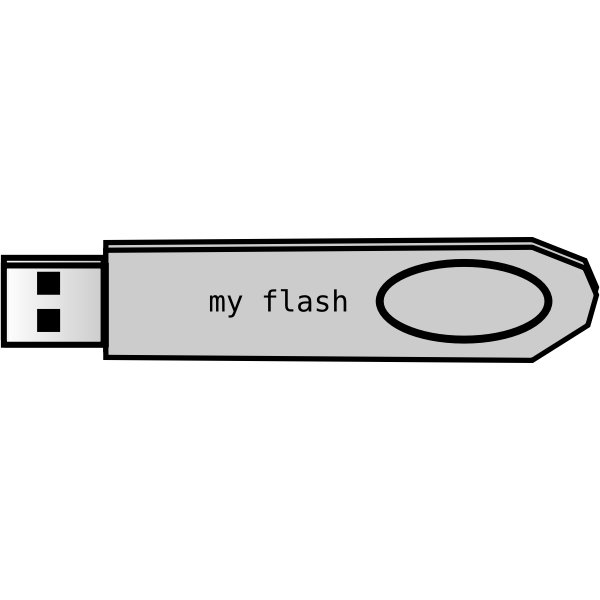 Flash disk vector image