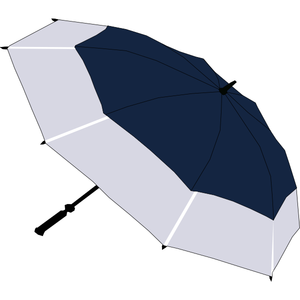 Blue and grey umbrella vector image