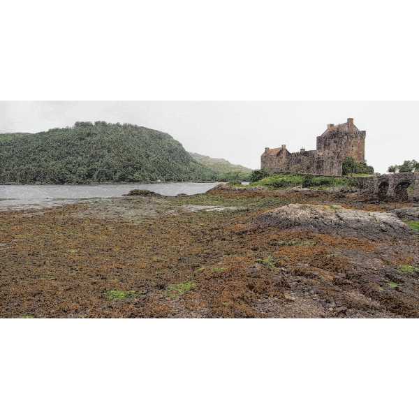 Magnesus Eilean Donan Castle