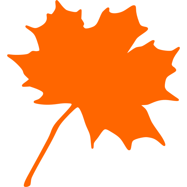 Maple leaf vector image