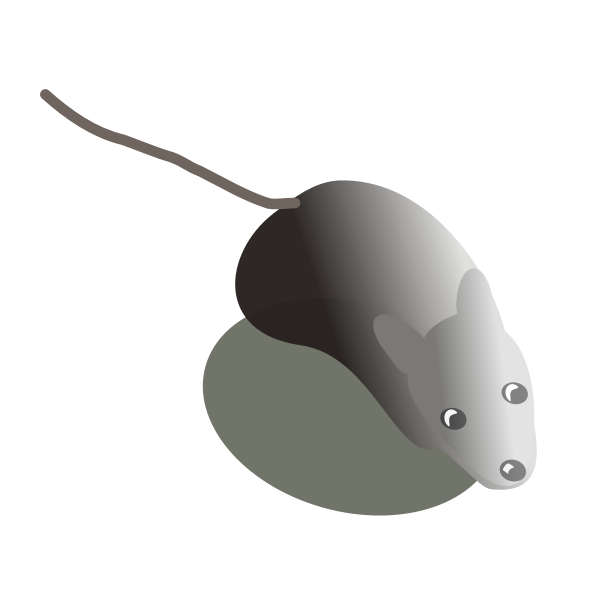 Maus von oben