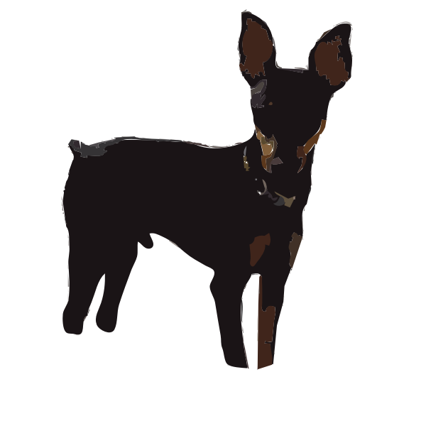 MinPin Puppy 2016052128