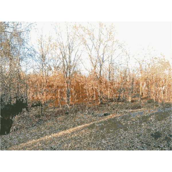 Missouri Nature 2 2015011228