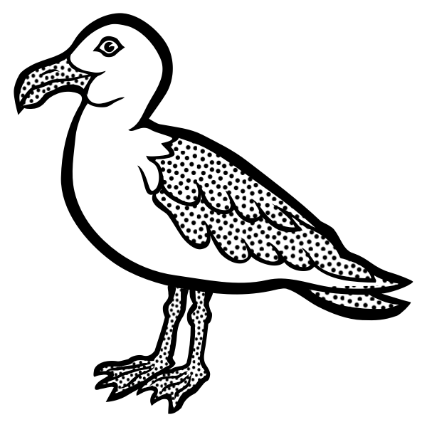 Drawing of spotty gull