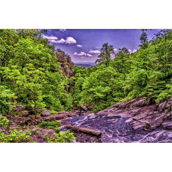 Mountain River Jungle